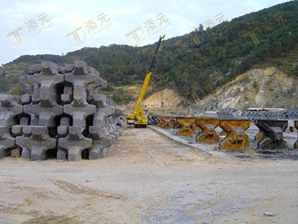 6t扭王字块预制场.jpg 6t扭王字块预制场.jpg