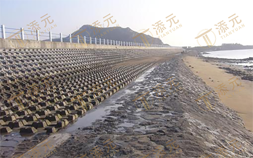 海 堤 全 景 （一）.png