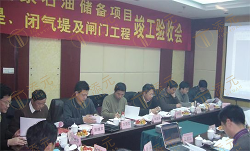 项目负责人王新江（右一）作竣工验收报告.png