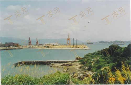 工程造地成型全貌.jpg