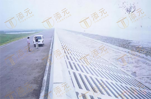 竣工海堤（一）.jpg