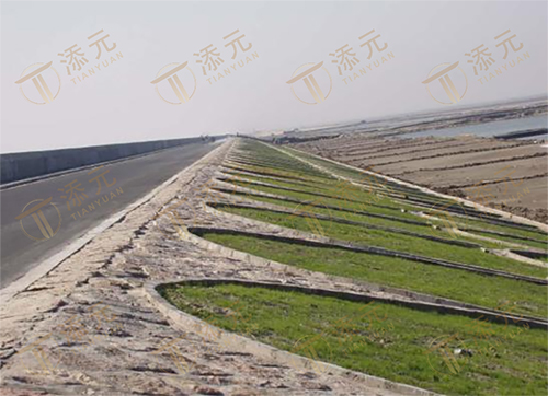 竣工海堤（三）.jpg