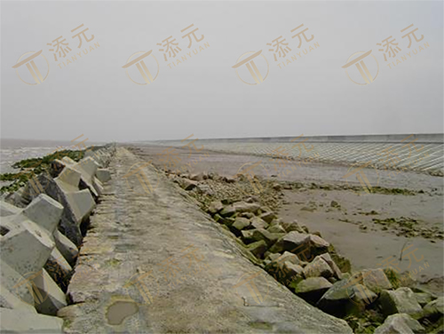 竣工海堤（一）.jpg