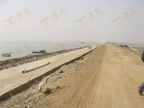 吹沙筑堤成形.jpg