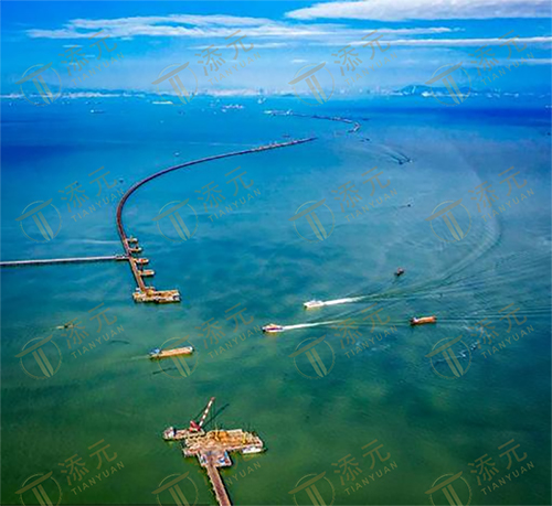 深中通道总平图(1).jpg